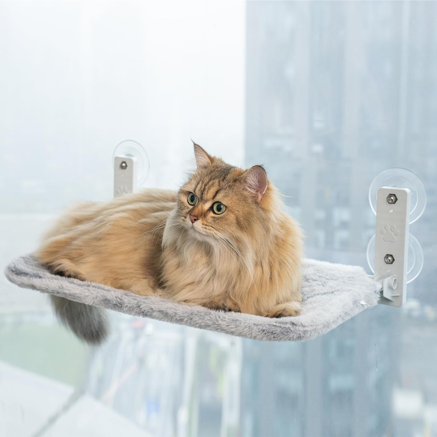 PETSWOL Foldable Cordless Cat Window Perch For Wall With Strong Suction Cups_2